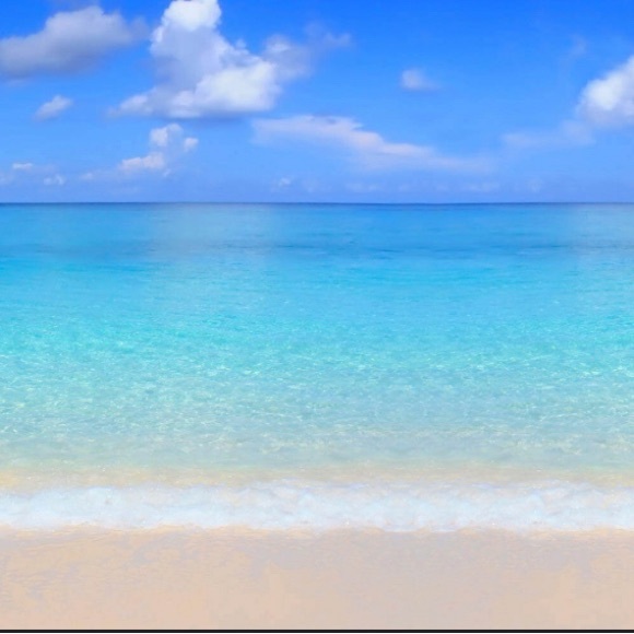 Meet your Posher, Amy - Picture 1 of 1